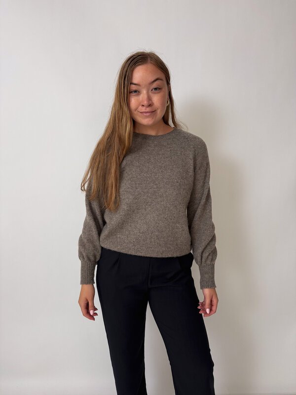Teddy Jumper