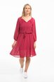 Sasha Dress