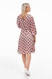 Sasha Dress