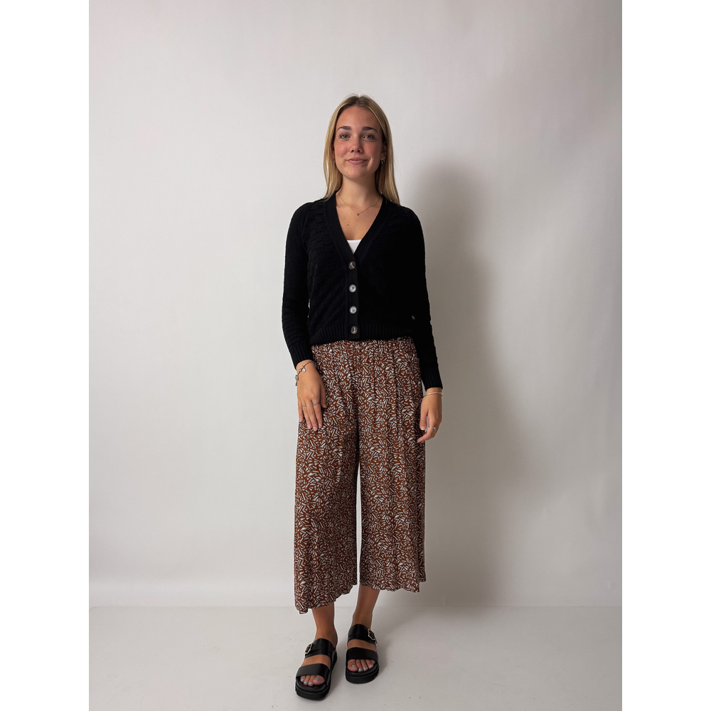 Ava Cardi