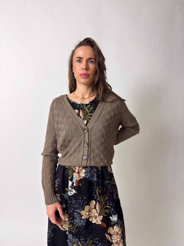 Ava Merino Cardi