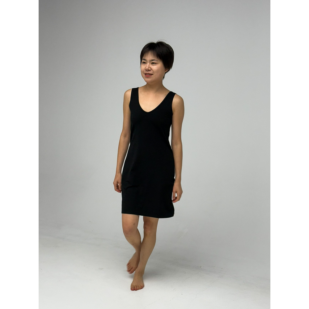 Dress Slip Rev