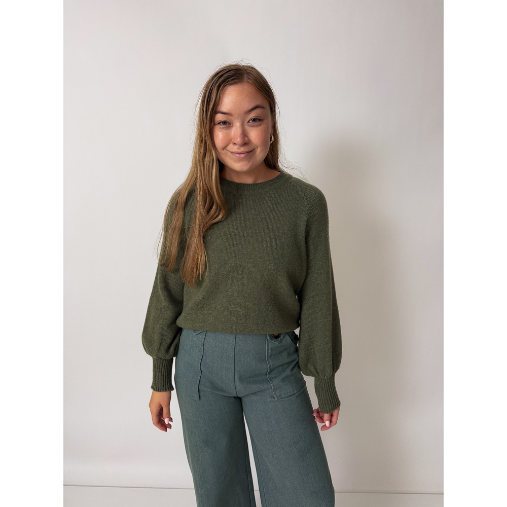Teddy Jumper