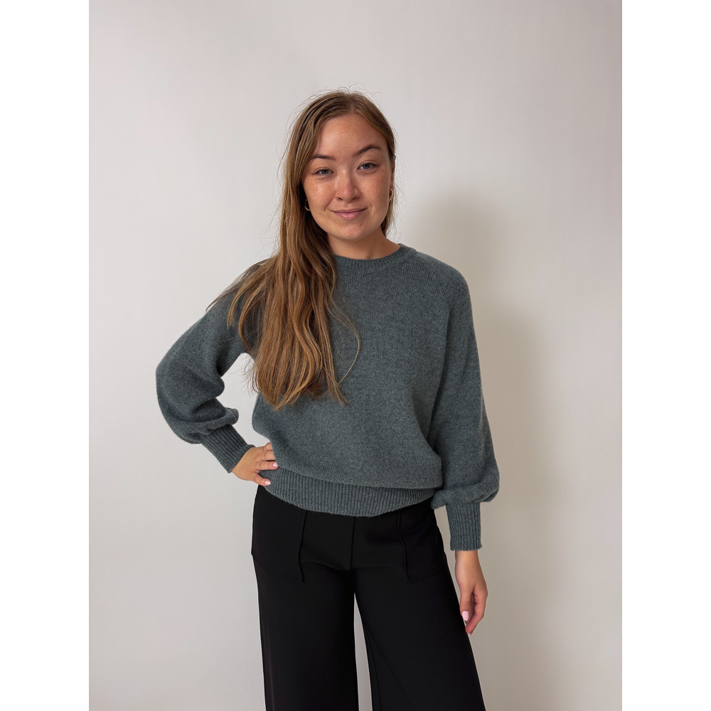Teddy Jumper