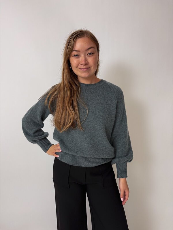 Teddy Jumper