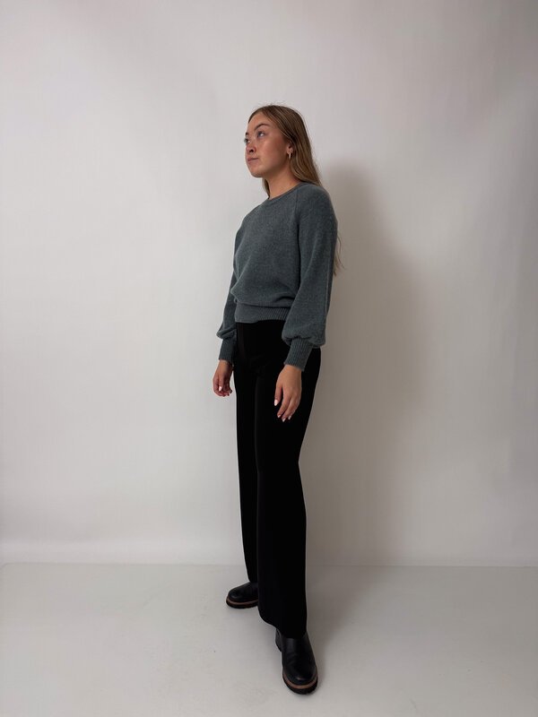 Teddy Jumper