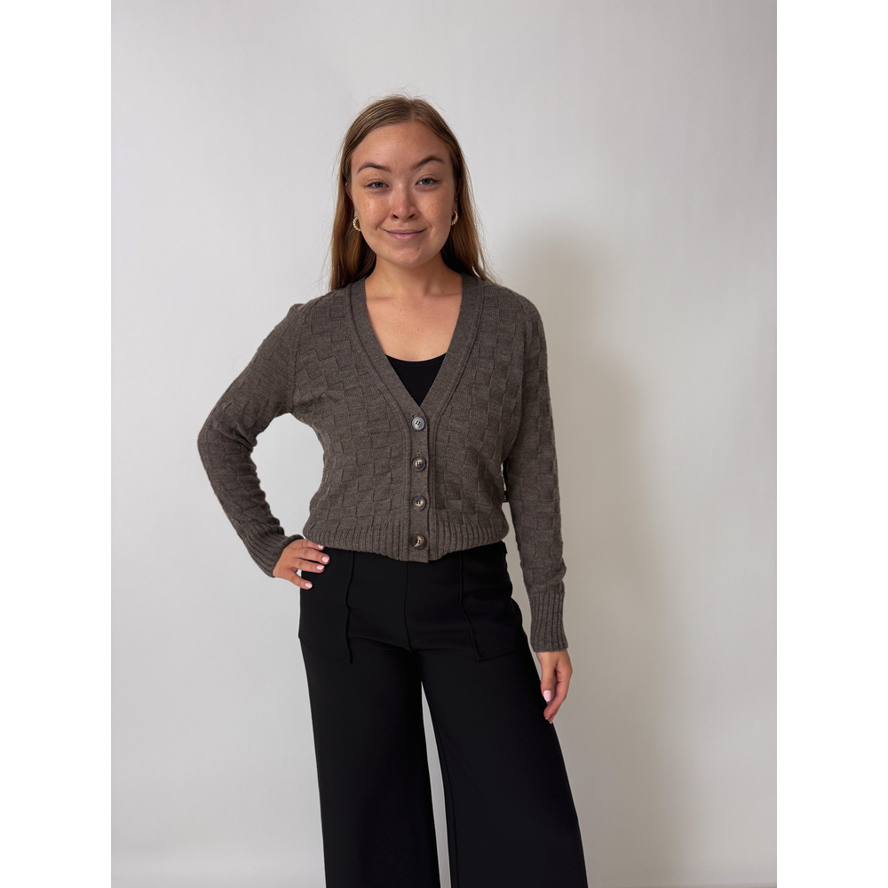 Ava Merino Cardi