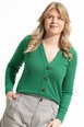 Tulia Cardi