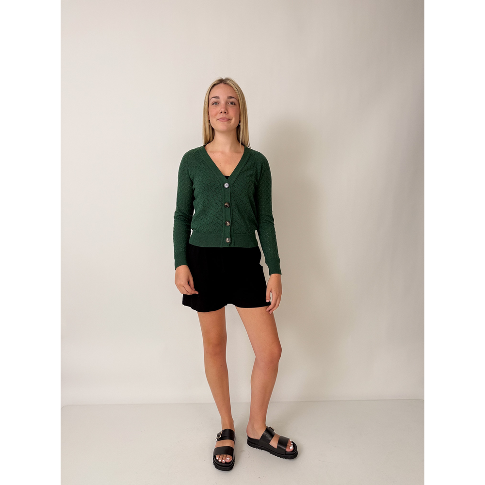 Tulia Cardi
