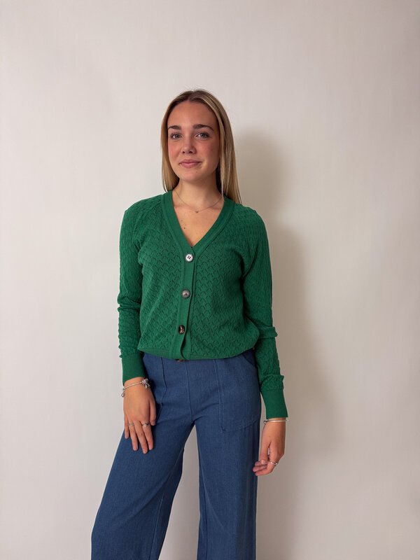 Tulia Cardi