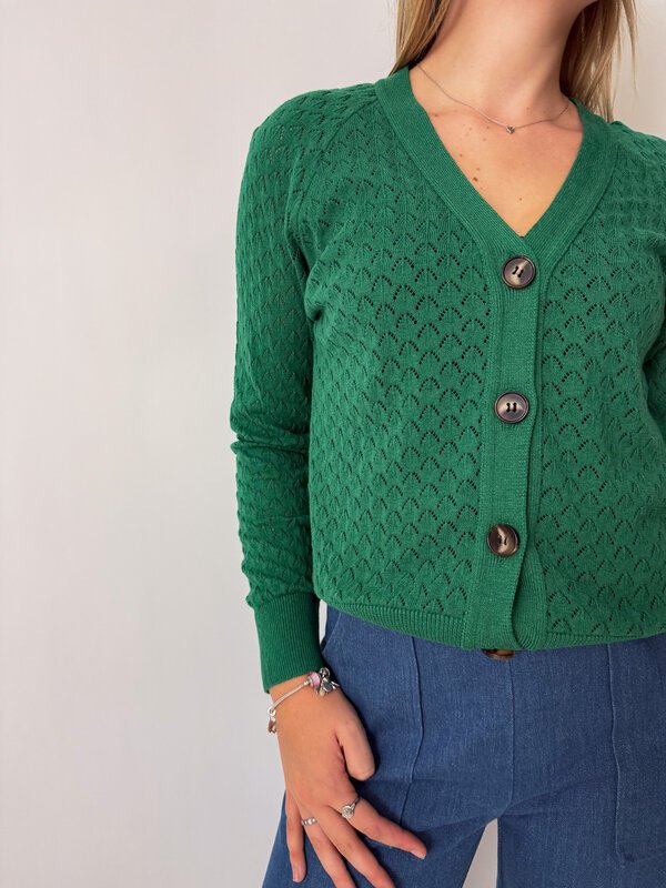 Tulia Cardi