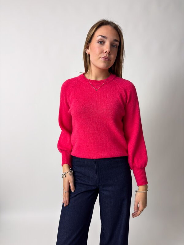 Teddy Jumper