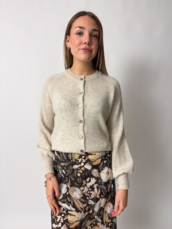 Ted Cardi